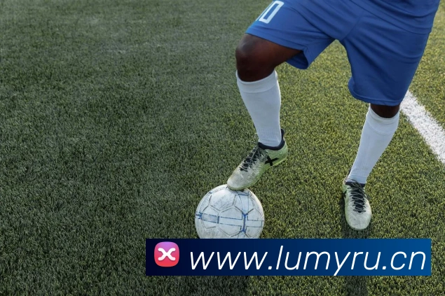 App Interface Preview